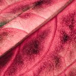 Texturi naturale: noul lux al modei sustenabile