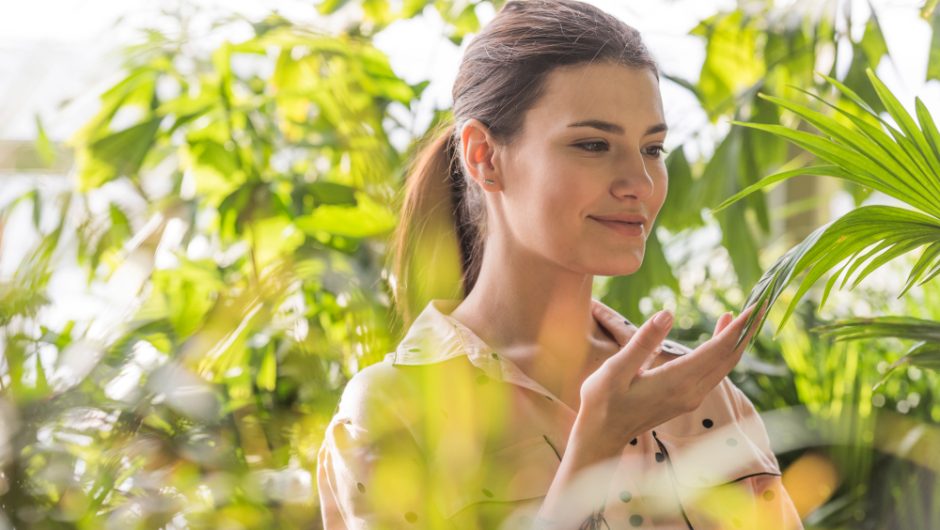 Arborele de ceai: beneficii pentru piele și păr